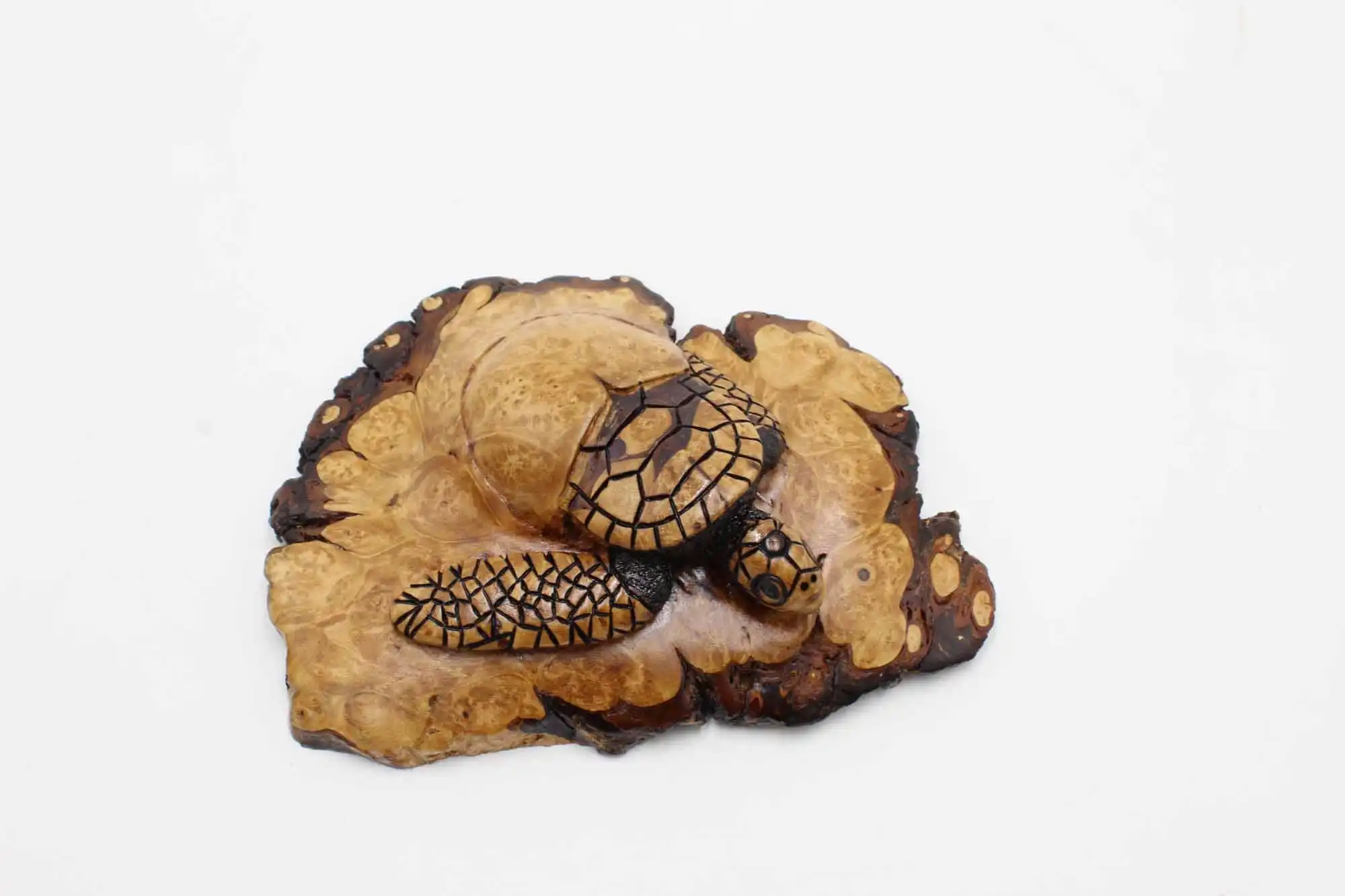 Sea Turtle woodcarving sculpture